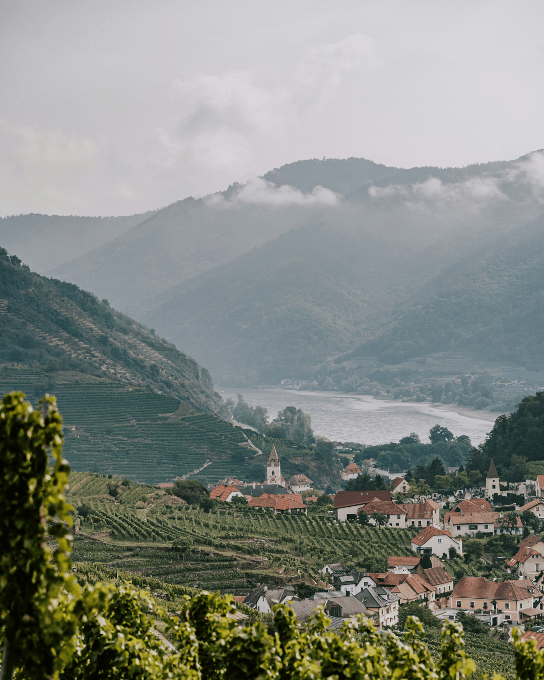 Die besten Weinbaugebiete Wachau