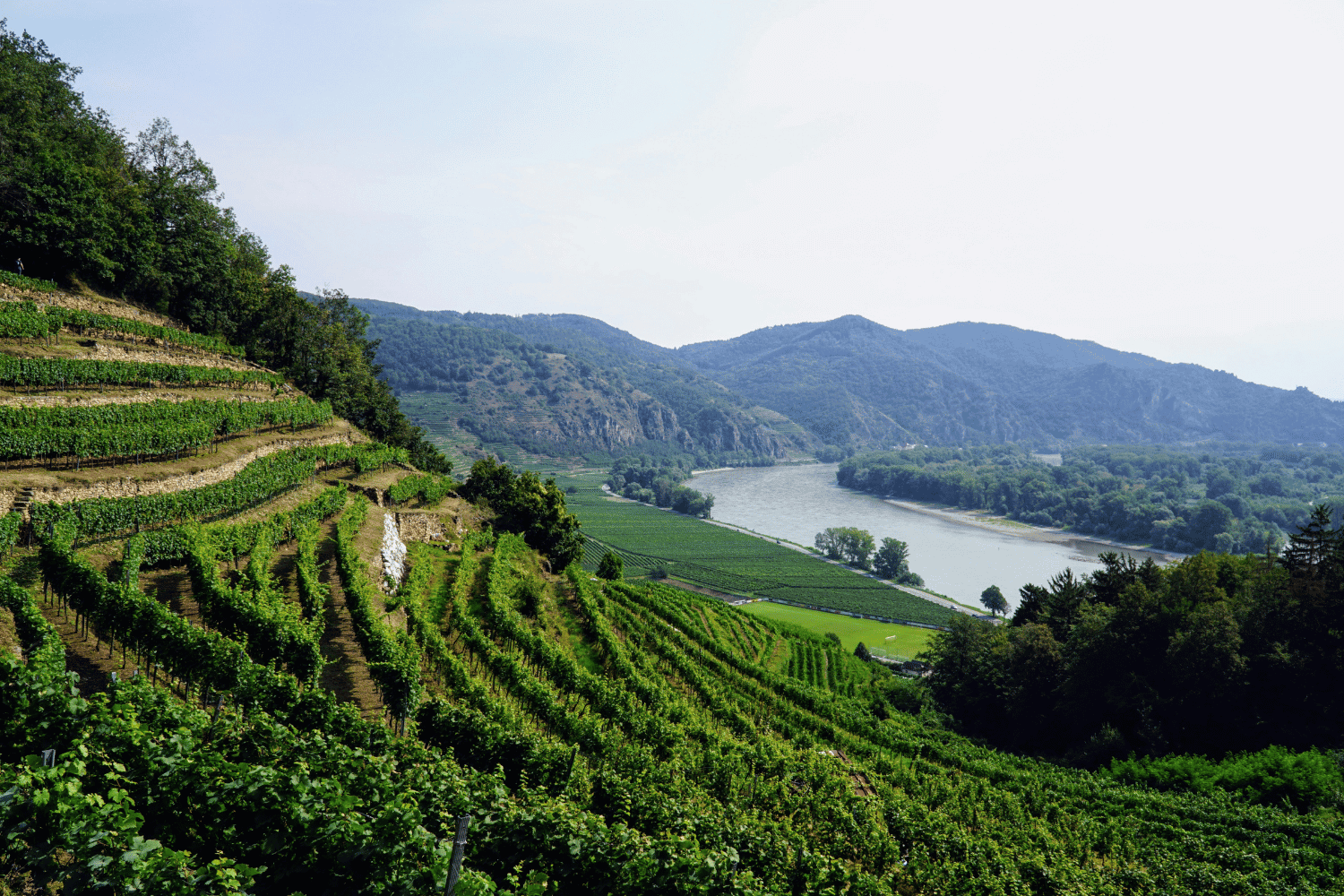 Wachau und Donau