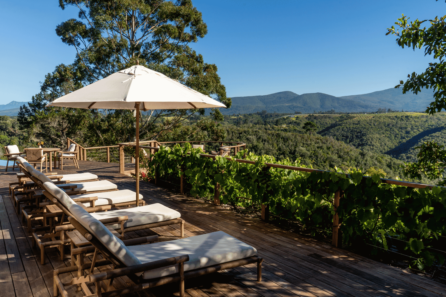 Plettenberg Bay, Südafrika: Wo der Sommer gerade erst startet